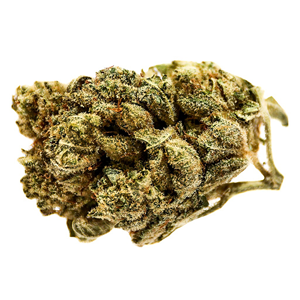 Station House - Blue Dream - Sativa - 28g