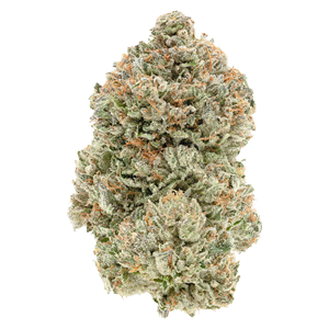 1964 - Stinky Pinky - Indica - 7g