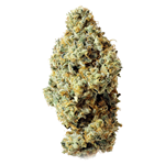 Thumbs Up - Frosted Fruit Cake x Sunset Sherb - Indica - 14g